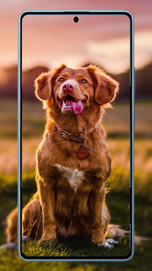 Moto Edge 70 Max Wallpaper Screenshot 3