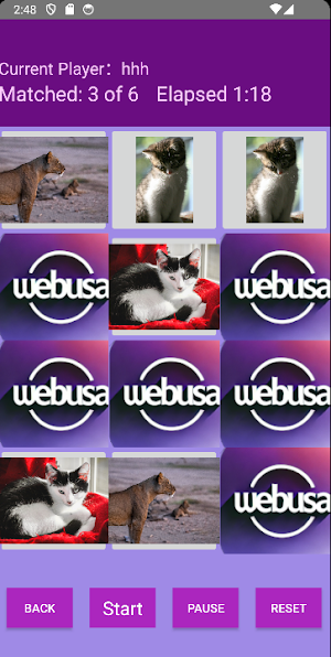 Memory Match Plus Screenshot 2