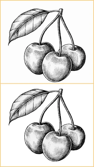 Drawing Fruits and Vegetables Screenshot 0