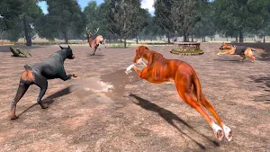 Dog Simulator : Wild Dog Games Screenshot 1