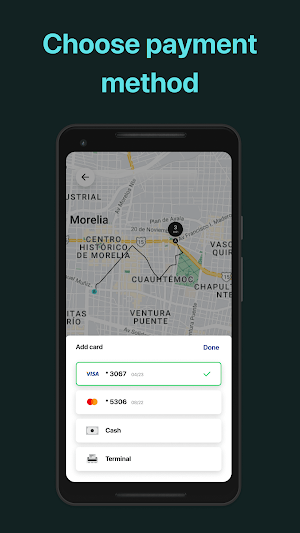 Link City: Taxi, Morelia Screenshot 3