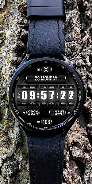 Flip Rotary RoooK 108 Watch Screenshot 3