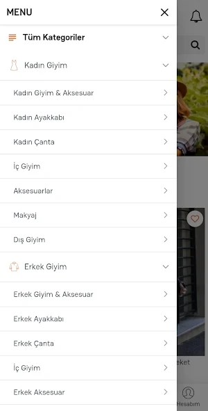 Paletpalet Screenshot 1