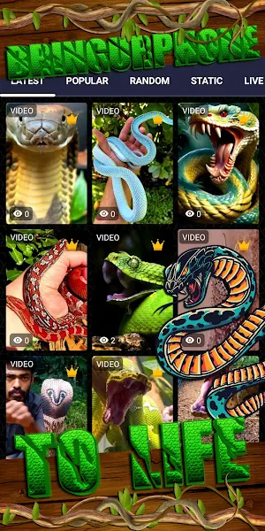 snake wallpaper Screenshot 1