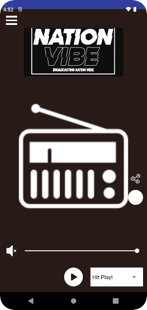 nationvibe radio Screenshot 2