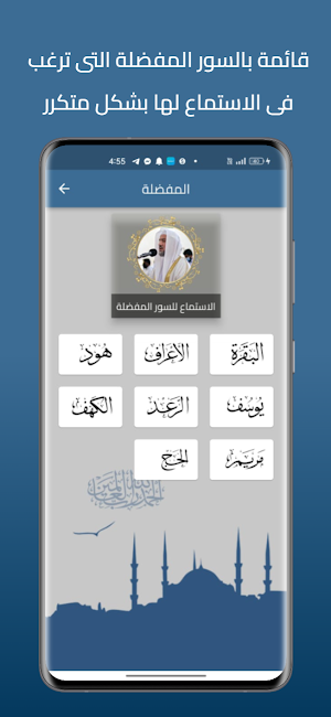 شيرزاد القرأن كامل بدون نت Screenshot 3