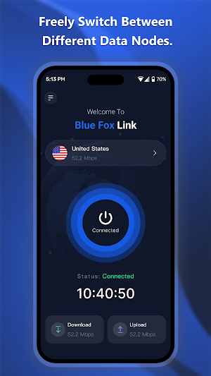 Blue Fox Link Screenshot 1