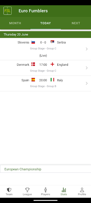 Fantasy Sports League Screenshot 1