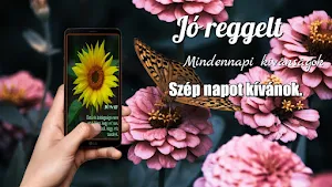 Hungarian Morning & Night Screenshot 2