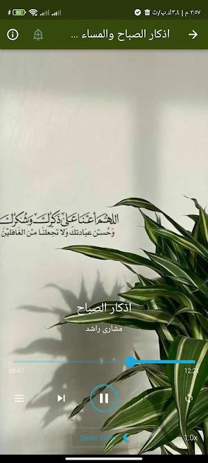 القران بصوت عبيدة موفق بدون نت Screenshot 3