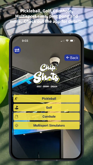 Chip Shots Screenshot 2