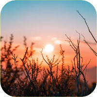Nature Wallpaper