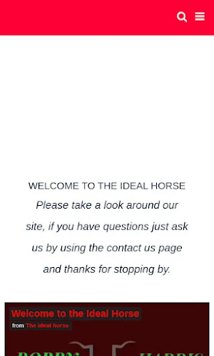 The Ideal Horse Screenshot 1