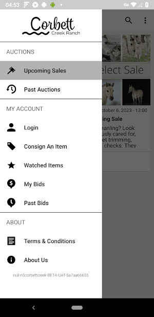 Corbett Creek Ranch Auction Screenshot 3