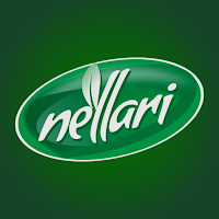 Nellari Salesfokuz