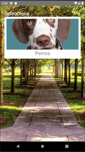 Rompecabezas de Perros Screenshot 0