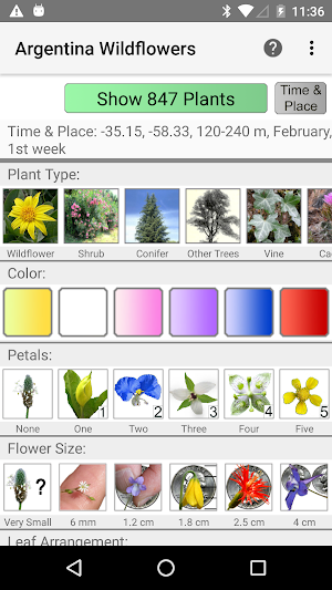 Argentina Wildflowers Screenshot 0