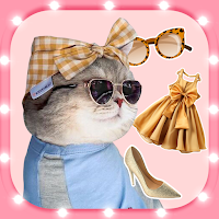 Cat Fashion stylist, Cat Maker
