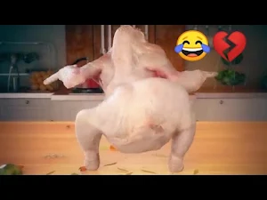 اغنية الدجاجة الراقصة بدون نت Screenshot 0