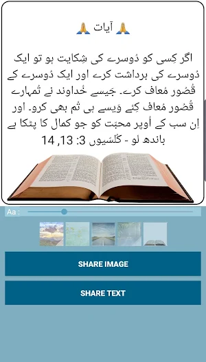 Urdu Bible Screenshot 0