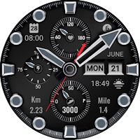 Analog Sport V12