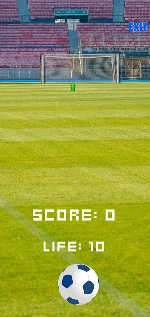 worldcup Screenshot 0