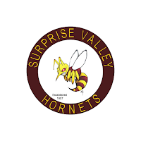 Surprise Valley Unified School
