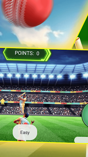Cricket Bat Fury Screenshot 1