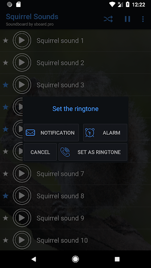 Squirrel Sounds ~ Sboard.pro Screenshot 3