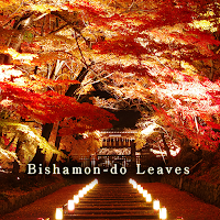 Bishamon-do Leaves