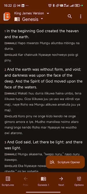 BibleLib: Multi-Bible Reader Screenshot 1