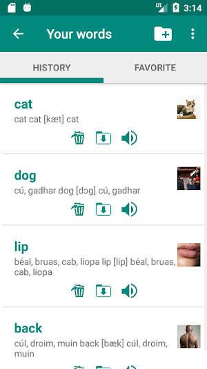 Irish English Dictionary Screenshot 3