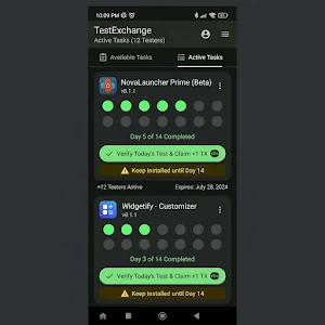 12 Testers: Closed Testing Screenshot 2
