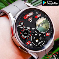 [N-SPORT608]BWHybird WatchFace