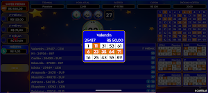 Bingo Super Prêmios Screenshot 3