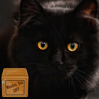 black cat wallpaper
