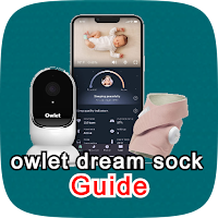 owlet dream sock guide