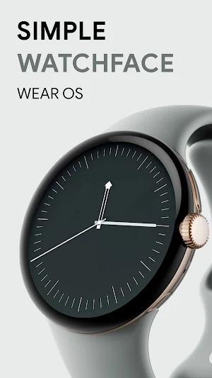 Simple & Sober Watch Faces Screenshot 0