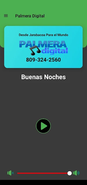 Palmera Digital Screenshot 2