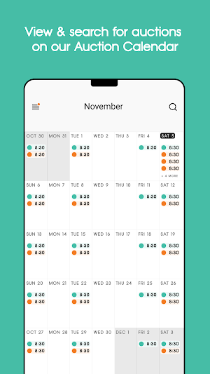 Auction Calendar Screenshot 0