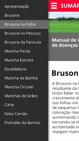 Doenças do Arroz Screenshot 2