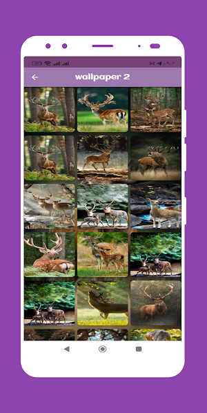Deer wallpapers Screenshot 2