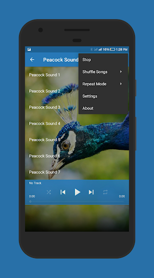 Peacock Sounds Screenshot 3