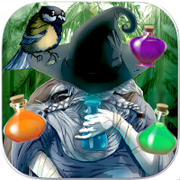 Forest Alchemy Lost Chronicles