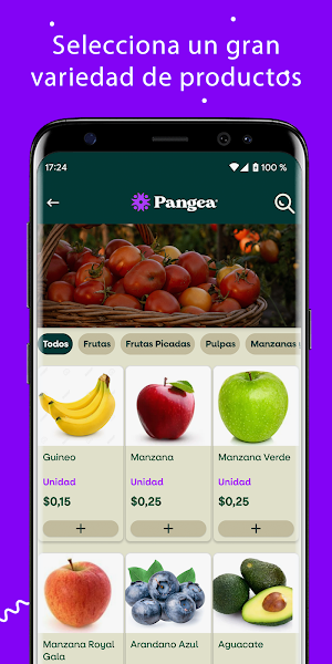 Pangea Screenshot 3