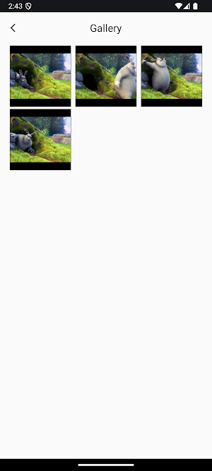 Image Extractor from Video Screenshot 3