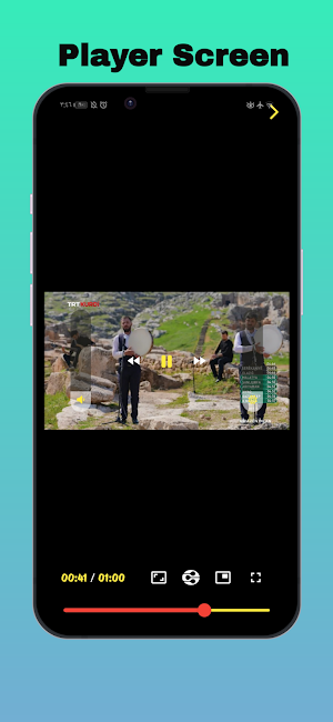 AH DLNA Player Screenshot 2