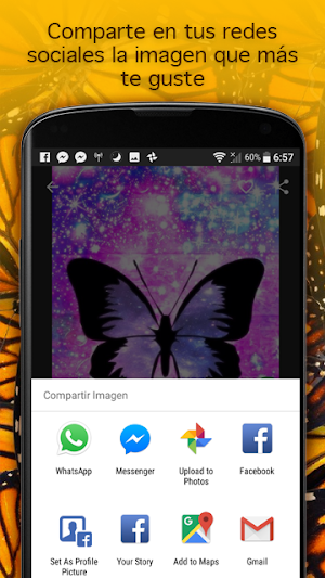images of butterflies Screenshot 2