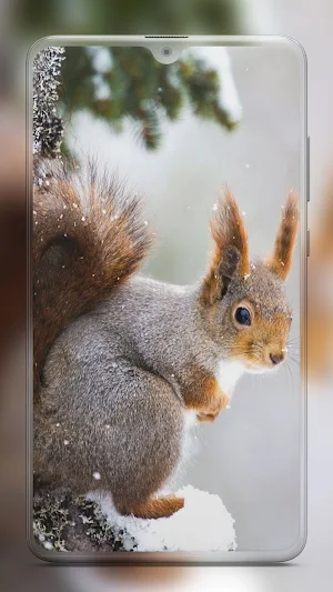 Animal Wallpapers HD Screenshot 2