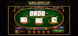 Blackjack 21: Casino Card Game Screenshot 2